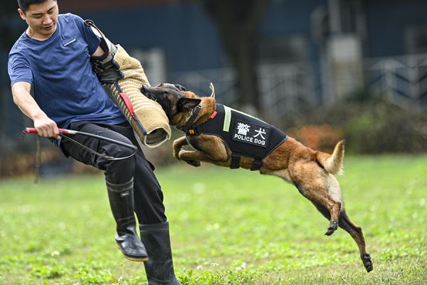 《日常演练》刘伊君(纪实类金奖)