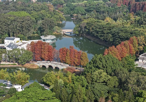 华南国家植物园郁郁葱葱 陈志峰/摄