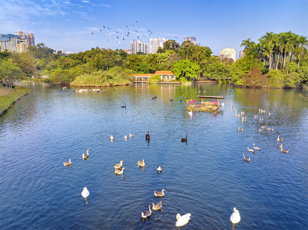 广州动物园将推出门票优惠活动 通讯员 林园轩供图