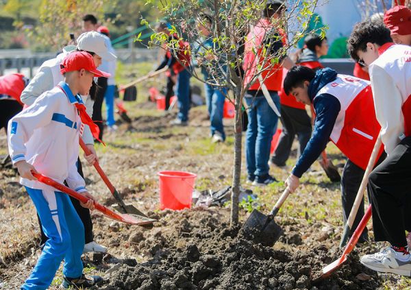 白云区江高镇青年林内,少先队员、青年志愿者合作松土、浇水,为种植树苗打下良好根基