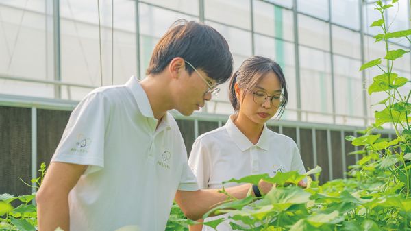 蜜蜂学员正在智能温室内观察果蔬培育情况 梁汉深/摄