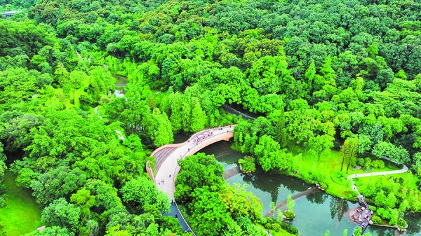背靠白云山延伸绿美空间