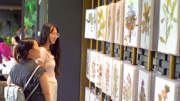 云溪植物园建设有自然科学馆等场所,常态化为游客开展植物博览、自然观察站等20余种丰富的自然导赏、科普教育活动