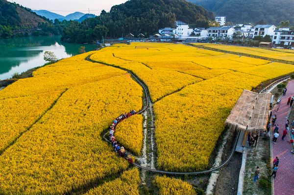从化结合农业种植,开发特色乡村游 温金溪/摄