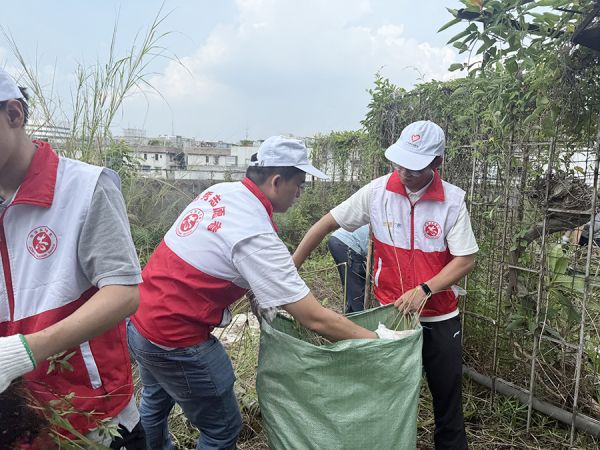 清除杂草防蚊虫