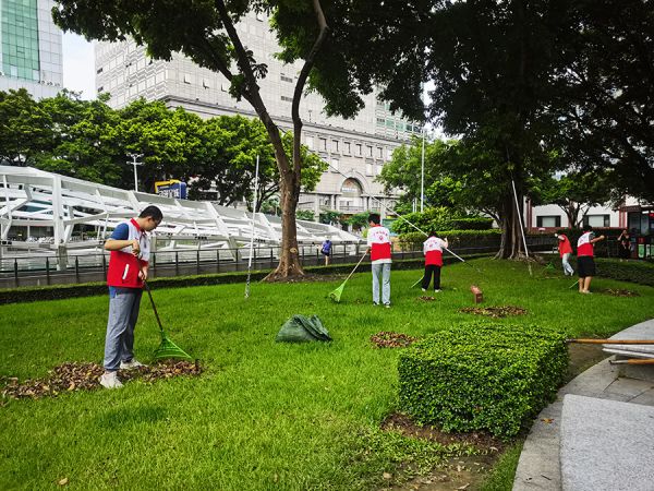 清扫绿地,消除蚊虫藏匿空间