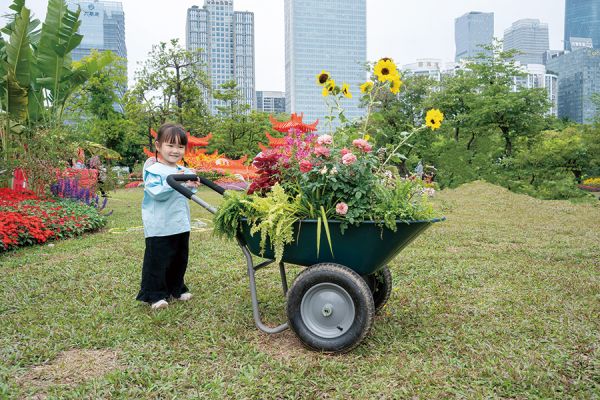 采集一车鲜花 张爱玲/摄