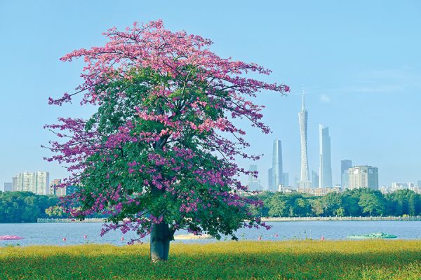花畔塔影 范海金/摄