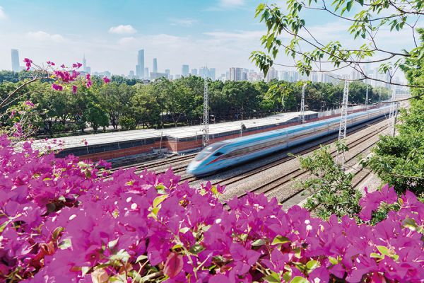 鲜花盛开,迎八方客 黄冬/摄