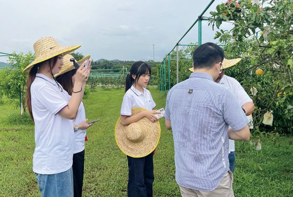 实地调研绿色农业 广东财经大学 霍喆曈、陈梦雪/摄