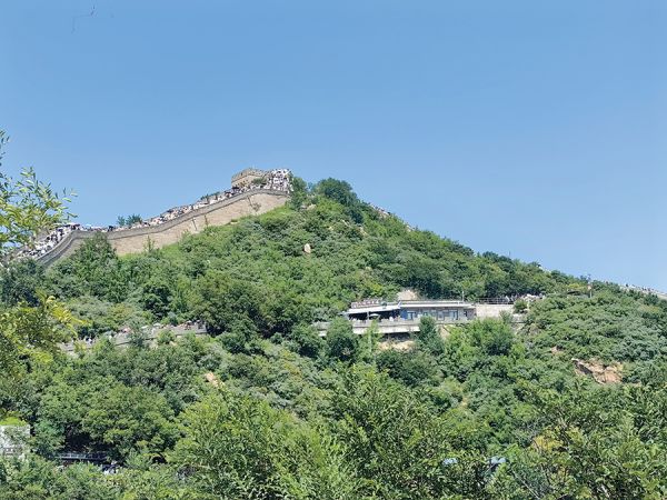 不到长城非好汉 海珠区菩提路小学 张明宇