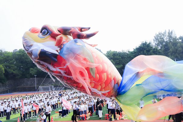 鳌鱼凌空相伴寓意“鱼跃龙门”